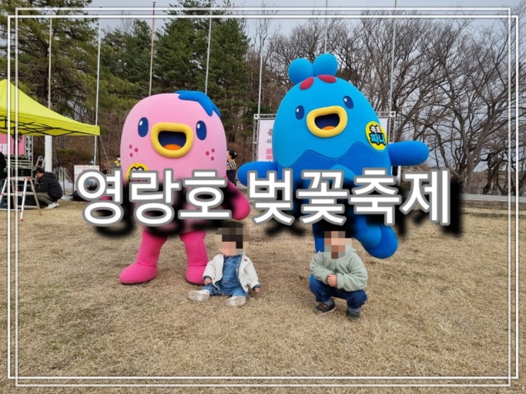  [일상] 영랑호 벚꽃 축제 즐기기, 영랑호 벚꽃 개화 상태(3월 30일 기준)