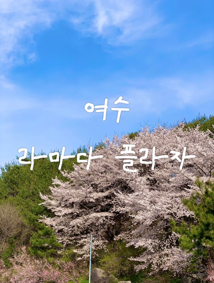  전라도 여수 | 여수 라마다프라자 호텔 (프리미어패밀리, 룸컨디션, 오션뷰, 어매니티)
