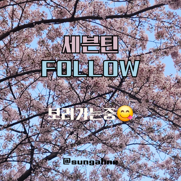  부산캐럿의 세븐틴 FOLLOW 팔로우 앙콘 보러가는길