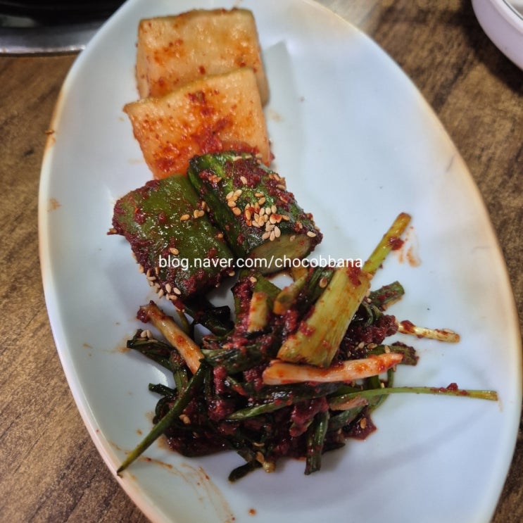 호수집 닭볶음탕 중구 중림동 최자로드 닭꼬치 맛집 호수집 닭볶음탕 중구 중림동 최자로드 닭꼬치 맛집