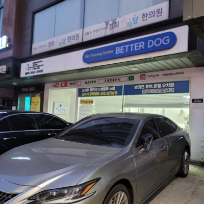사진 2