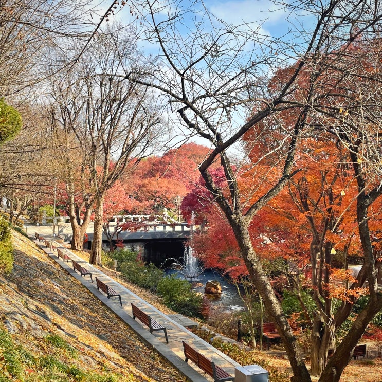  #240330 숙대입구 - 까치네분식, 효창공원 - 삼정카페