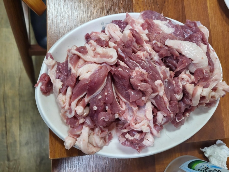 뚱오리 사진 4