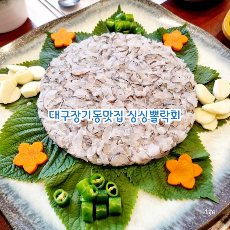  대구 장기동맛집 추천 싱싱뽈락회 장기직영점