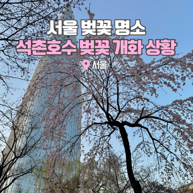  잠실 석촌호수 벚꽃 축제 서울 명소 여행 3.31 현황