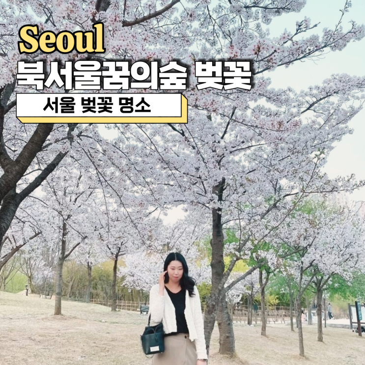  서울 벚꽃 명소, 낮에도 저녁에도 아름다운 북서울꿈의숲 벚꽃 야외 데이트