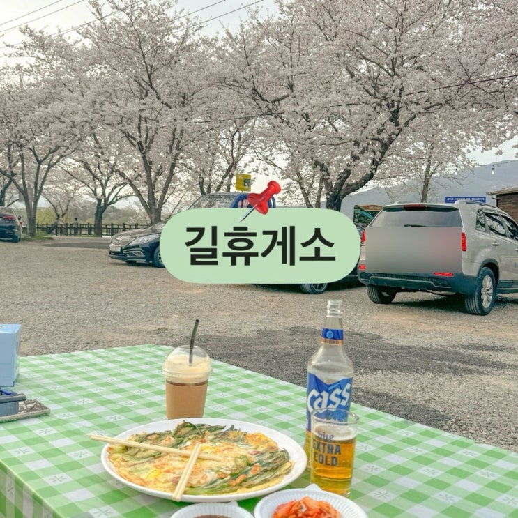  전남 구례 섬진강 수달서식지 길휴게소 화장실 주차 벚꽃실시간