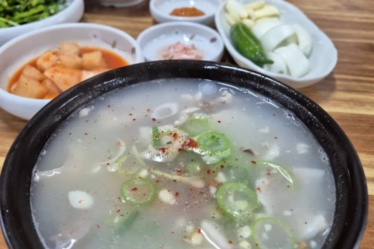  진해 군항제 경화역 승리돼지국밥 솔직 후기