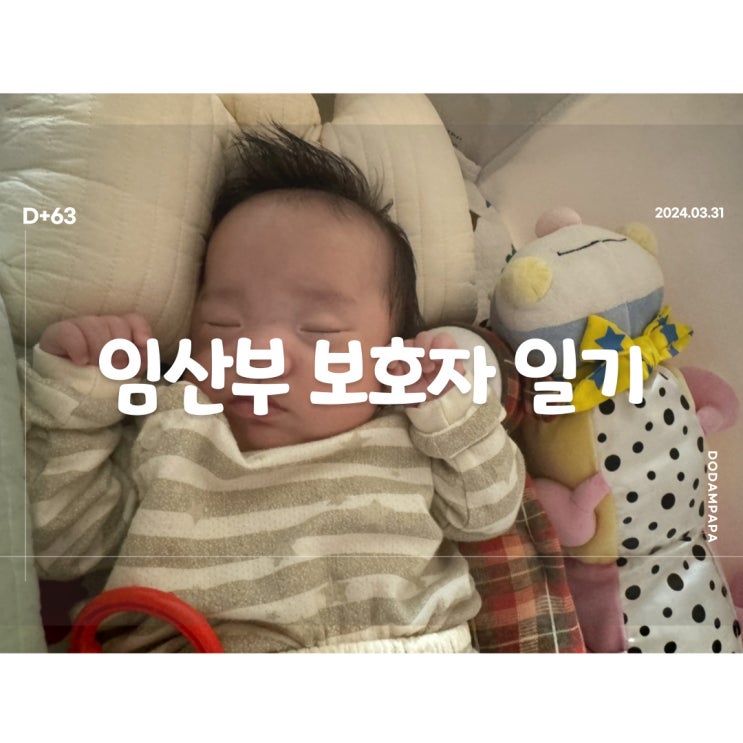 2024.03.31 임산부 보호자 일기 D+63일 2024.03.31 임산부 보호자 일기 D+63일