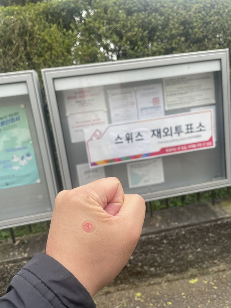 국외부재자 투표 재외국민 투표 스위스 재외선거 재외투표 후 베른 곰 구경 젤라또 가게 추천 스위스 대한민국 대사관 가는 방법