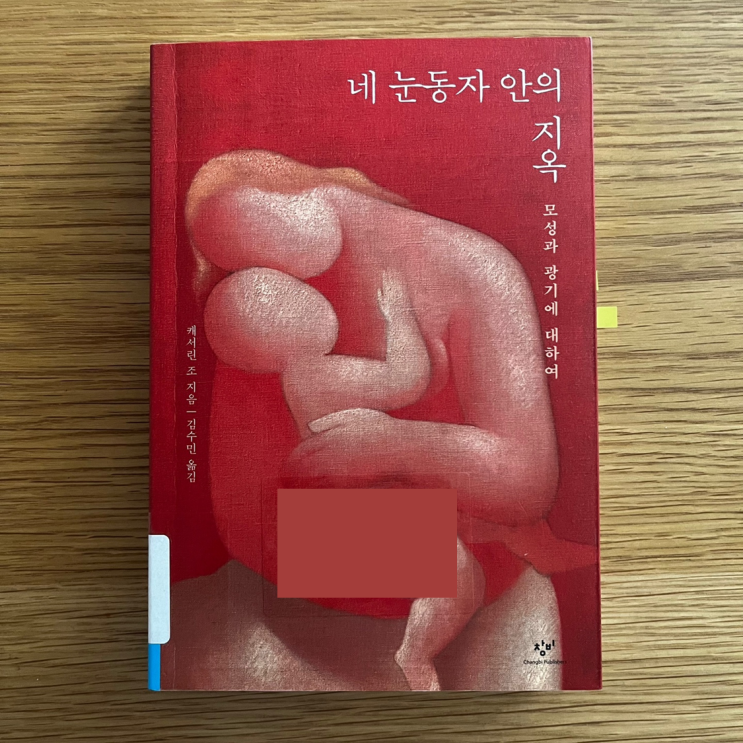  산후정신증에서 빠져나오는 여자의 일기 : 네 눈동자 안의 지옥