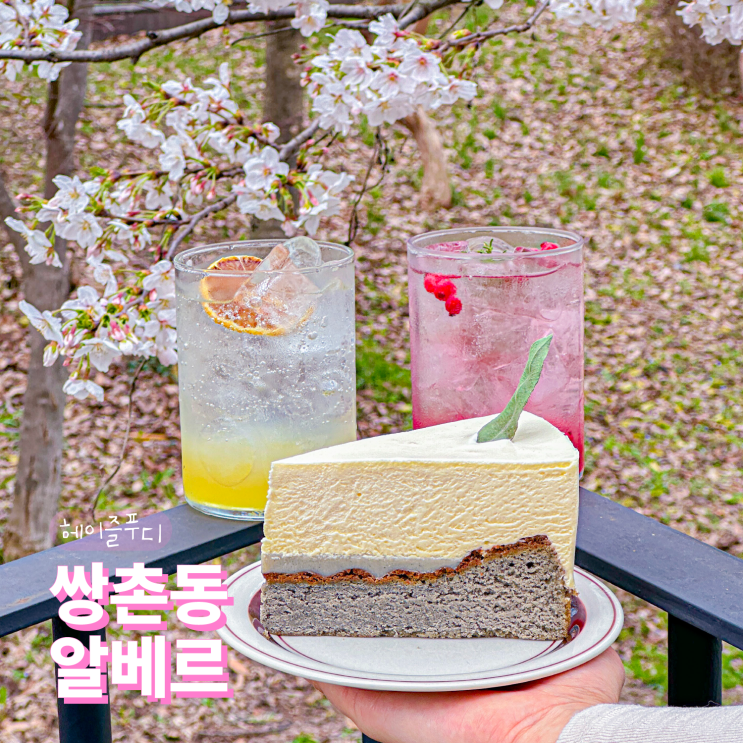  광주 상무지구 카페 알베르 운천저수지 벚꽃 뷰 맛집