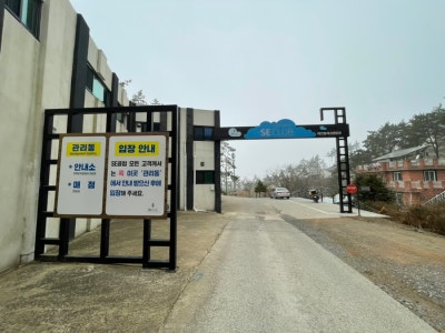 사진 7