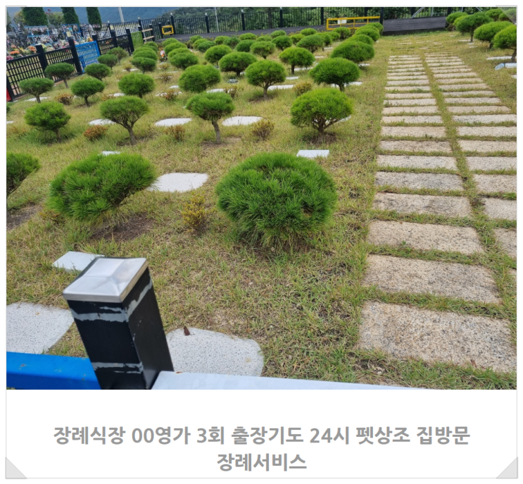  서울 애완견 장례식장, 펫 법연사