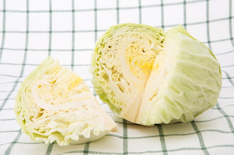  강아지 양배추 먹어도 되나요? [부산 닥터펫동물의료센터] - 강아지 양배추, 강아지 양배추 섭취, 강아지 양배추 독성, 강아지 야채, 강아지 채소, 강아지 간식