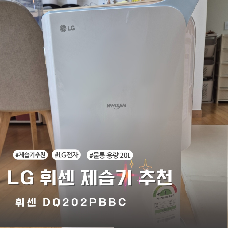  [내돈내산] 장마철 필수템 LG 휘센 제습기 DQ202PBBC 1년사용후기