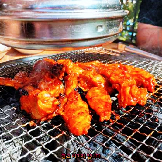  식객 허영만 백반기행에서 소개한 산청 거림계곡 지리산 거림가든 맛집 '도토리묵 닭백숙 ''숯불닭갈비' 탐방코너 후기