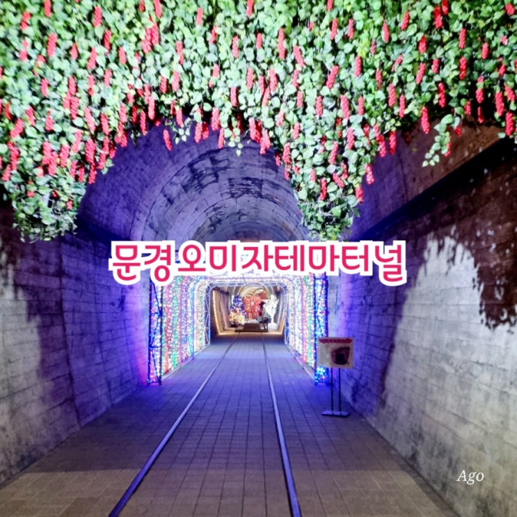  문경가볼만한곳 오미자테마터널 feat 문경가족여행