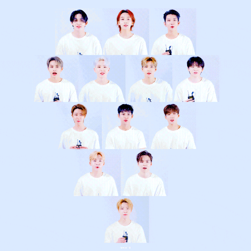 [ 세븐틴 홍일점 빙의글 ] 세븐틴 막내라고 합니다 Special ; 세븐틴 막내 여주의 데뷔를 '언제....