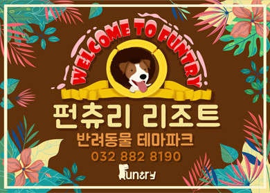사진 3
