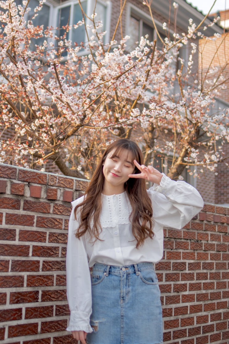  20대여자쇼핑몰추천 반한룩 펀칭레이스카라 블라우스