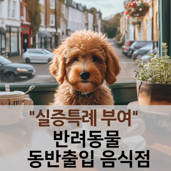  "실증특례 부여" 반려동물 동반출입 음식점