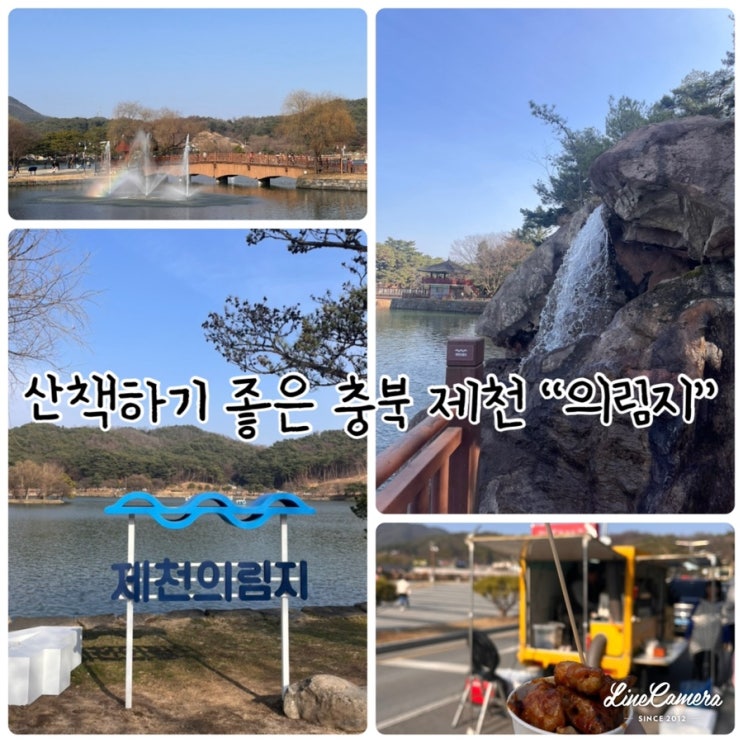  주말 산책하기 좋은 저수지 충북 "제천 의림지"