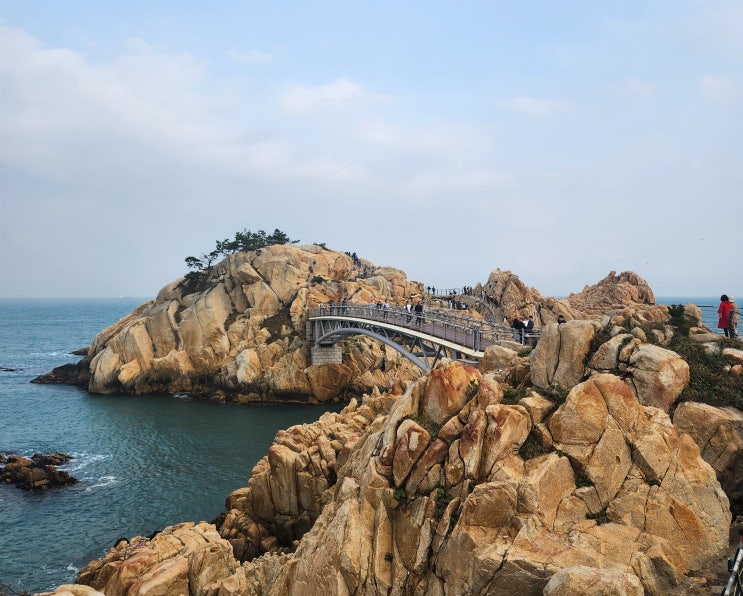  울산 가볼만한곳 바다 보기 좋은 출렁다리 관광지 '대왕암공원' / 주차정보 울산벚꽃개화