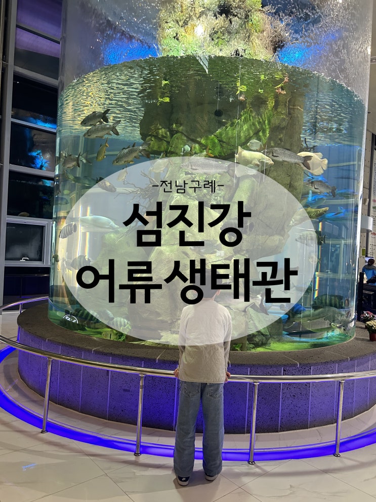  수달도 볼 수 있고 아이와 가볼만한 전남구례 섬진강 어류생태관