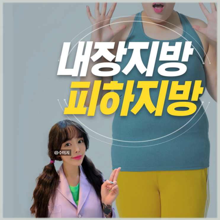  여자 남자 복부비만 올챙이배 피하지방 빼기 내장지방 빼는법