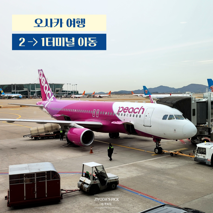  오사카 간사이공항 2터미널-1터미널 가는 법 (피치항공, 무료 셔틀버스)