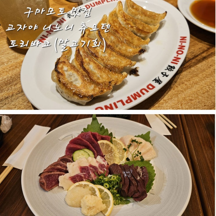  구마모토맛집교자야 니노니 츄오텐Gyozaya Ninoni Chuoten가성비 바사시(말고기회)맛집토리바코TORi馬Ko 熊本下通店