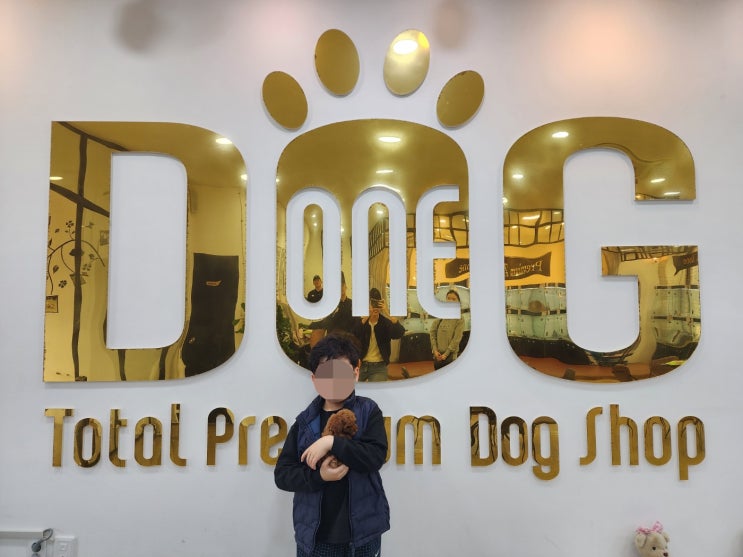  "건강하고 귀여운 강아지들과의 행복한 만남!원독 토이푸들분양"/세종시 강아지 분양 세종시 애견샵