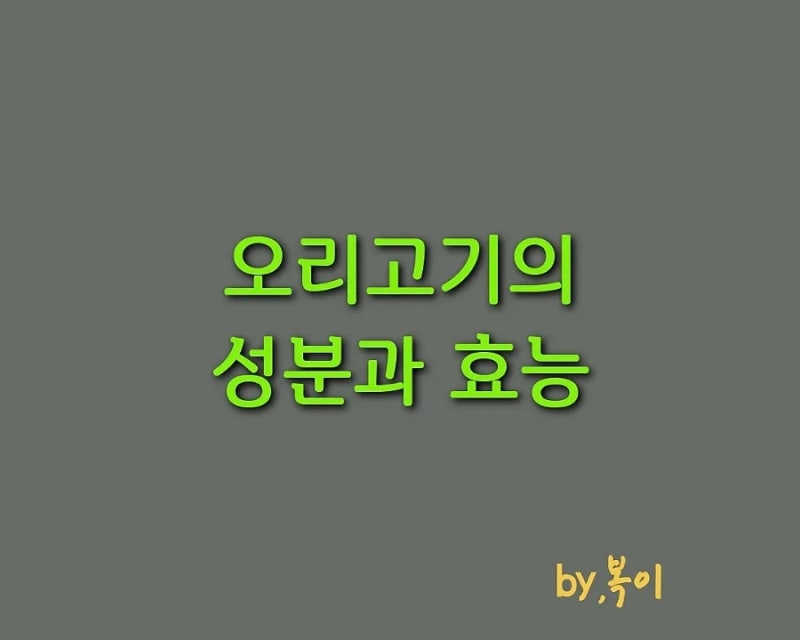 오리고기의 영양성분과 효능