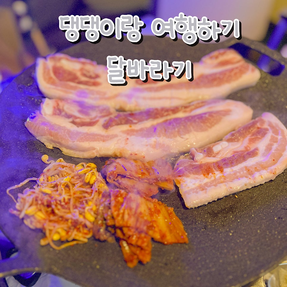 달바라기 사진 2