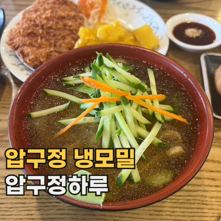  강남 압구정하루 냉모밀이 생각나는 압구정 로데오 웨이팅 맛집