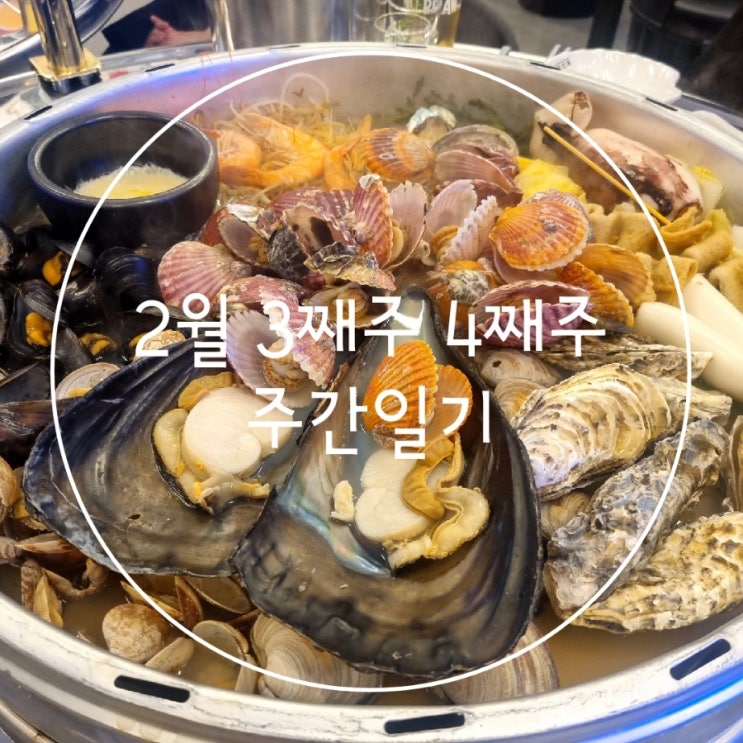  2월 3째주 4째주 주간일기 쩝쩝박사 일상