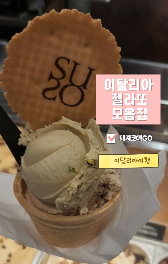  돼지코떼GO_이탈리아 젤라또 내돈내산 모음집