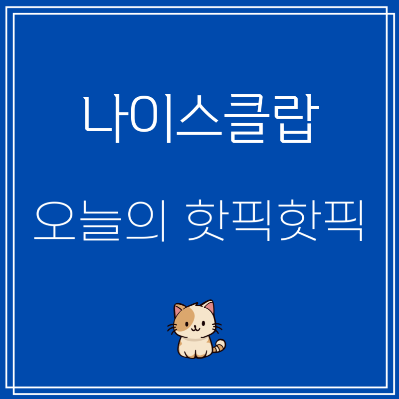 [나이스클랍] 후기 대박! 내돈내산으로 선택한 최고의 제품