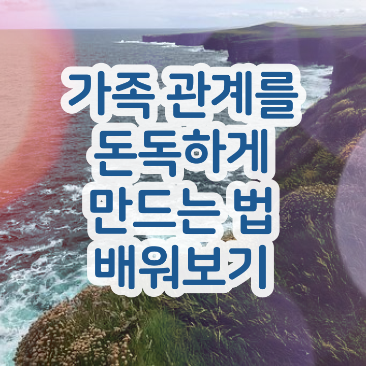  가족상담연구소 , 가족심리상담사 자격증 취득 정보 짚어드려요