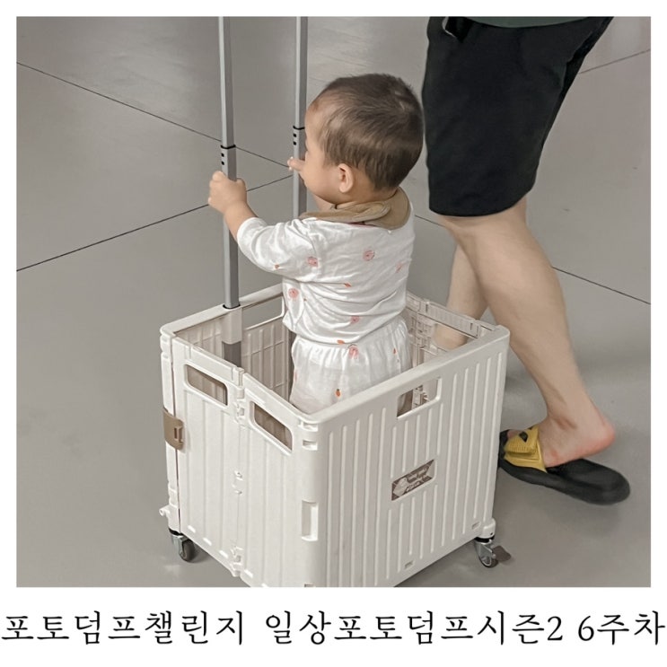 [블챌]포토덤프챌린지 일상포토덤프 시즌2 6주차