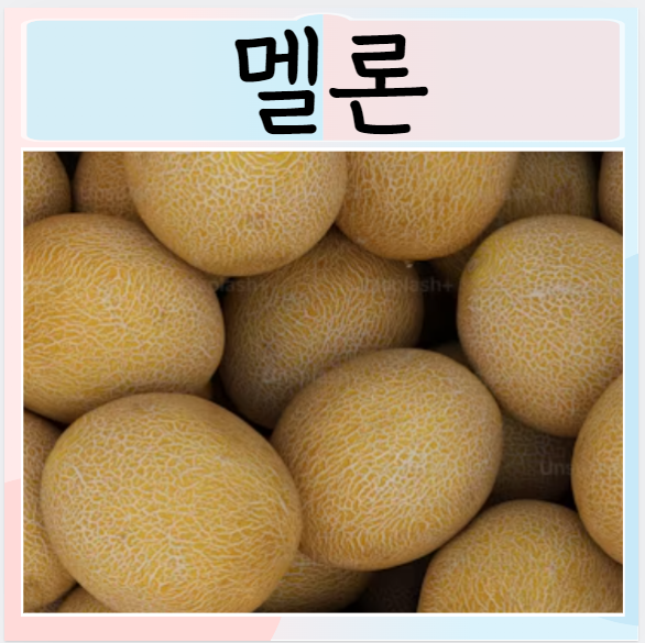  멜론 칼로리 효능 부작용 종류