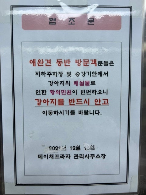 사진 8