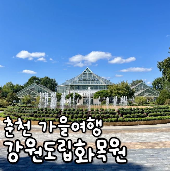  춘천 강원도립화목원 국화 맛집 춘천가볼만한곳