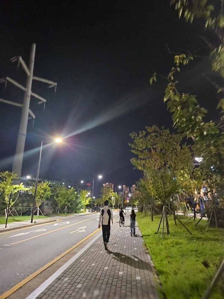  감사일기 407일차