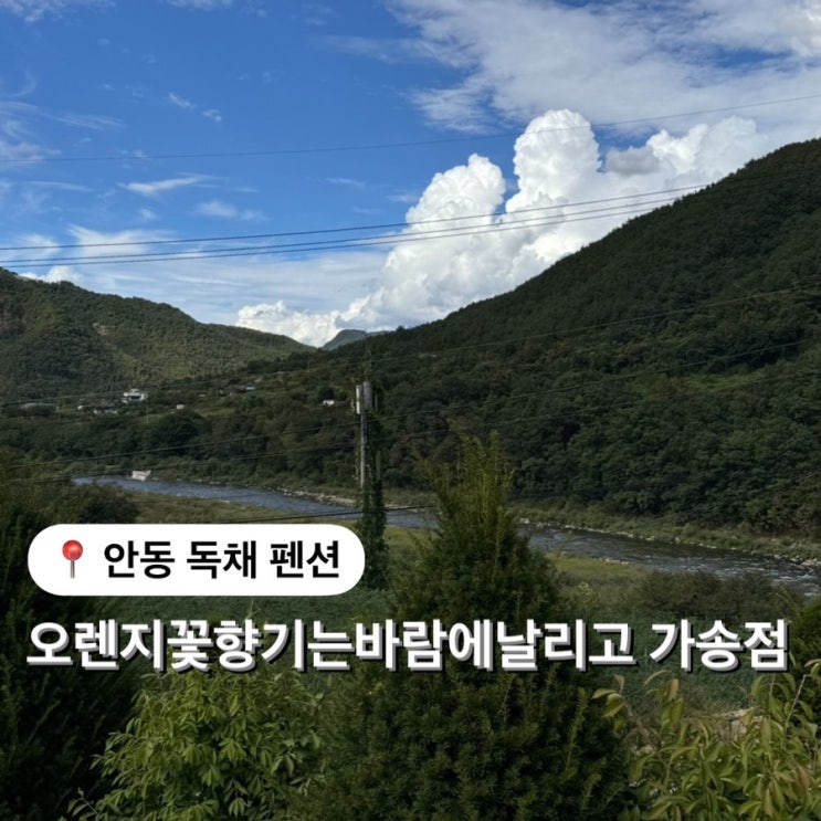  경북 안동 독채펜션 오렌지꽃향기는바람에날리고 가송점 단체숙소 추천