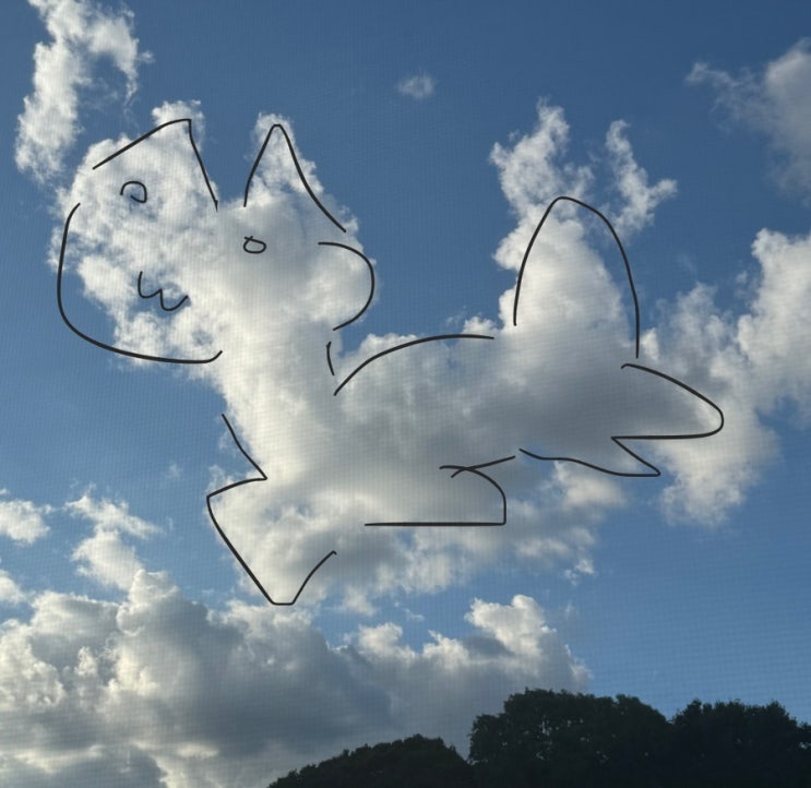   2024. 09 