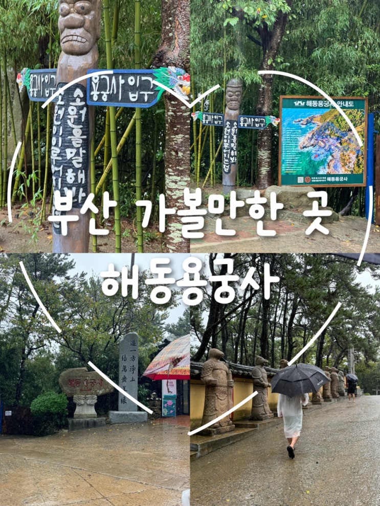  비 내리는 부산 해동용궁사, 가족과 함께한 잊지 못할 하루