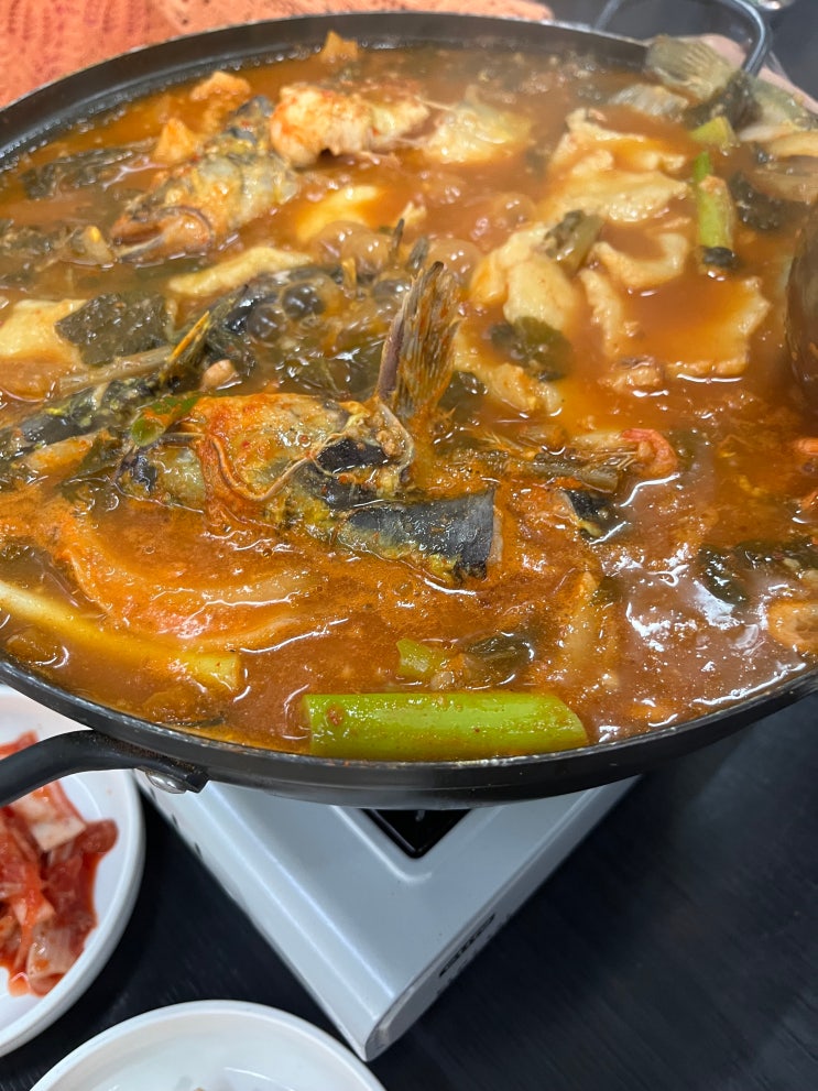 [스페셜포토덤프] 비 오는 10월 1일, 괴산 오십년할머니집 매운탕부터 충북아쿠아리움까지