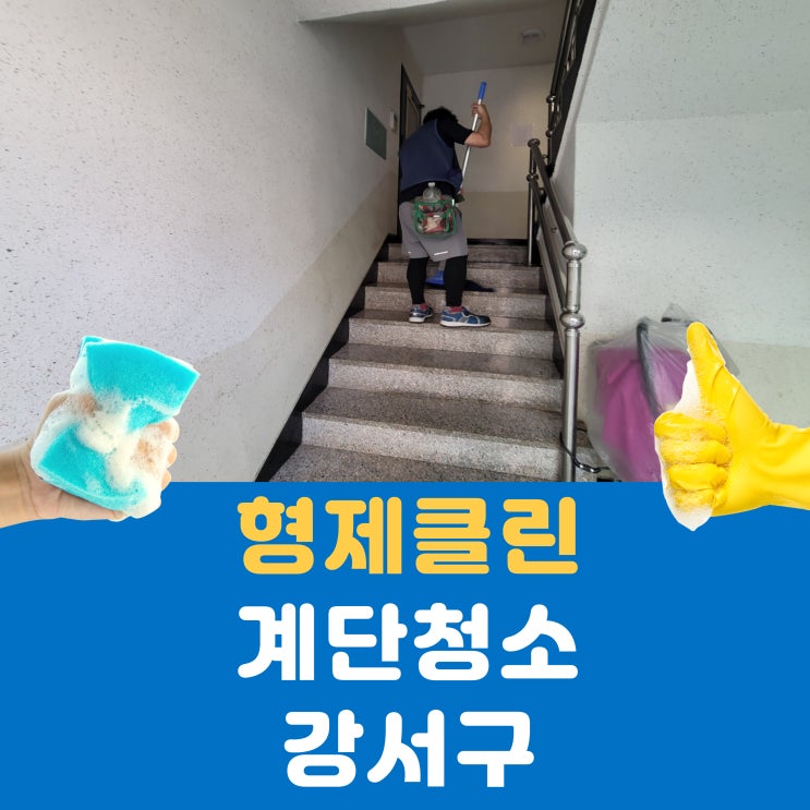  서울 강서구 계단청소 및 화장실청소 필수! 상가·빌라 청소 방법 알아보기